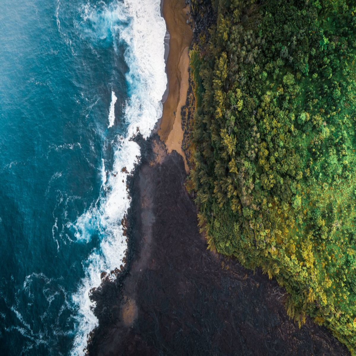 Vous avez réservé le billet pour la Réunion